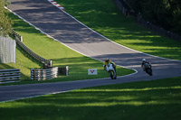 brands-hatch-photographs;brands-no-limits-trackday;cadwell-trackday-photographs;enduro-digital-images;event-digital-images;eventdigitalimages;no-limits-trackdays;peter-wileman-photography;racing-digital-images;trackday-digital-images;trackday-photos